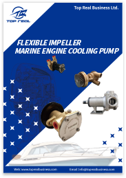 Flexible Impeller Marine Engine Cooling Pump 2026